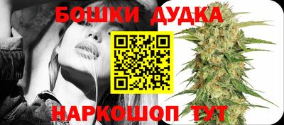 молекула духа Новодвинск