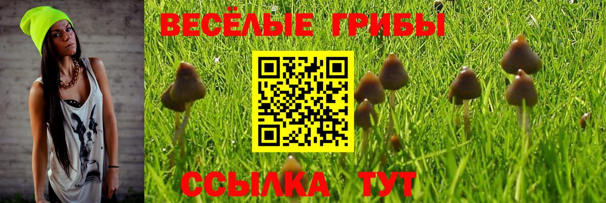 Галлюциногенные грибы Magic Shrooms Карасук