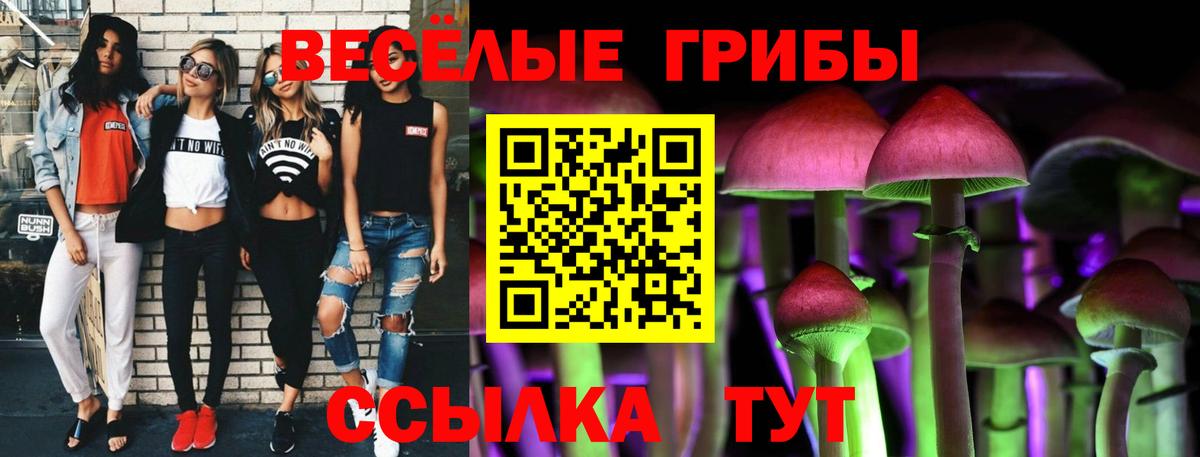 Карасук  Псилоцибиновые грибы Cubensis  Вход с VPN  Галлюциногенные грибы мухоморы 